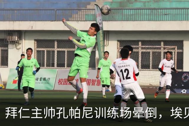 拜仁主帅孔帕尼训练场晕倒，埃贝尔：恢复要按周算