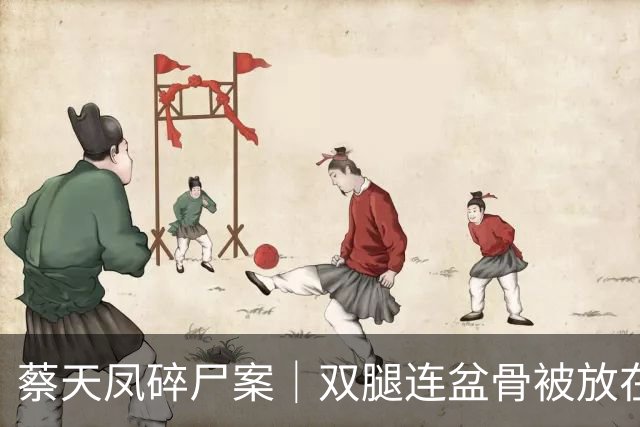 蔡天凤碎尸案｜双腿连盆骨被放在冰箱内，政府化验师形容“骨上面有点肉”
